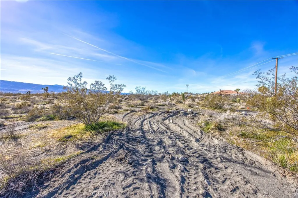 11788 Buckwheat, Pinon Hills, California 92371 home-pic-36