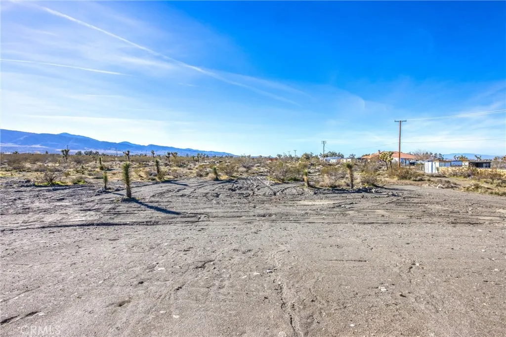 11788 Buckwheat, Pinon Hills, California 92371 home-pic-44