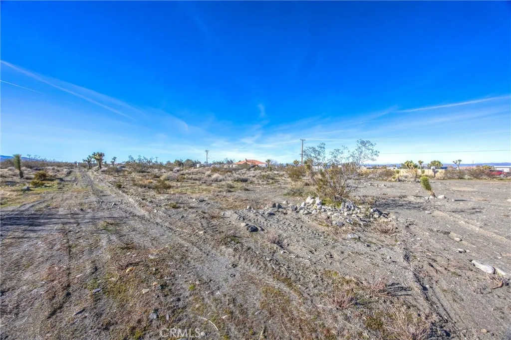 11788 Buckwheat, Pinon Hills, California 92371 home-pic-33