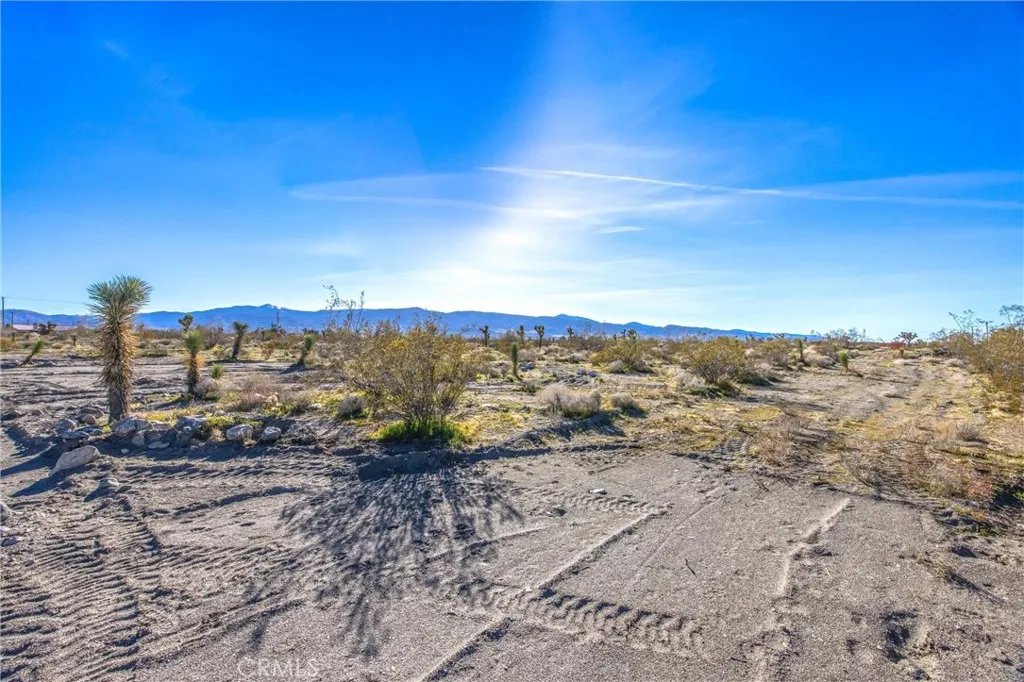 11788 Buckwheat, Pinon Hills, California 92371 home-pic-39