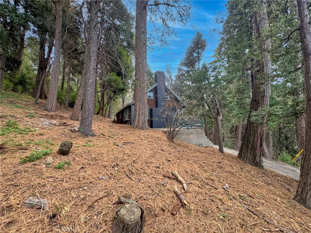 480 Valley Road, Crestline, California 92325 home-pic-26