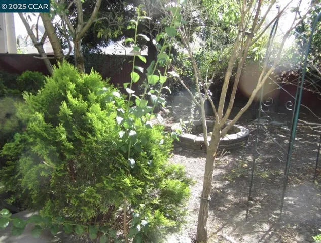 815 Spring Mountain Ln, American Canyon, California 94503