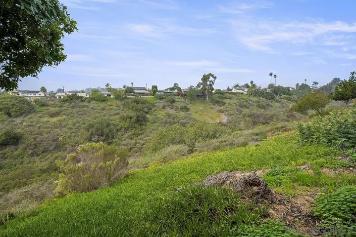 Canyon view