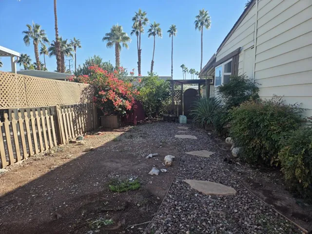 Rear Yard
