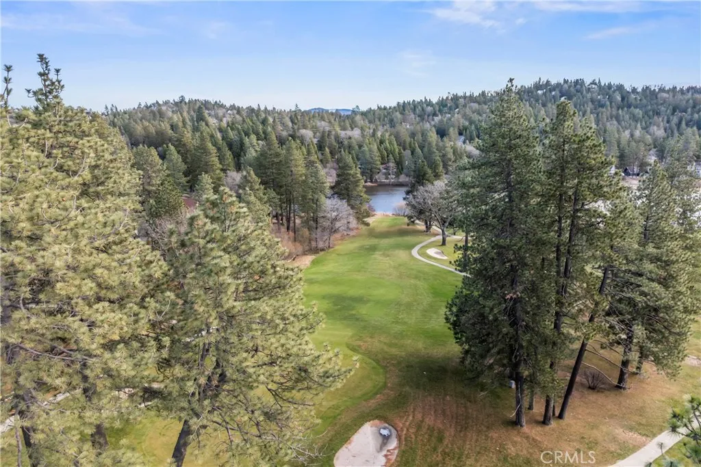 699 Brentwood, Lake Arrowhead, California 92352 home-pic-25