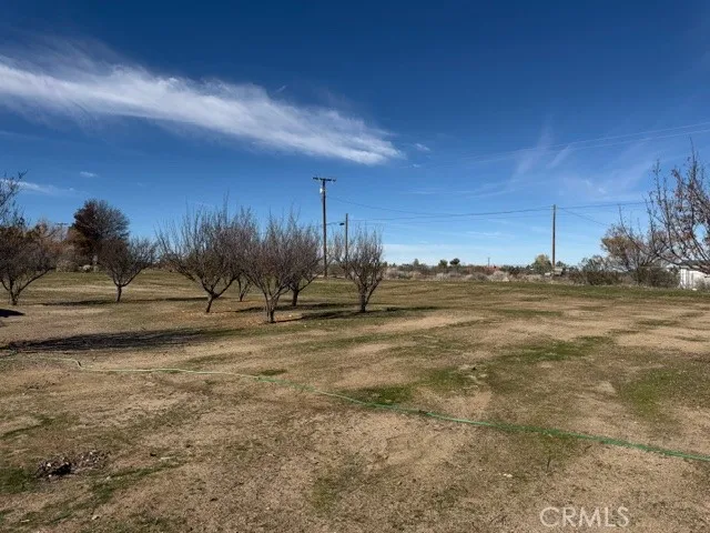4679 Gorgonio, Phelan, California 92371 home-pic-4