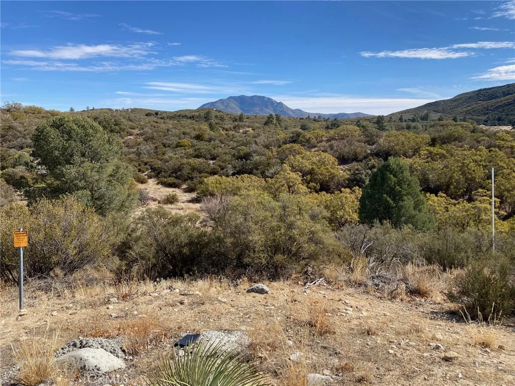 62000 Indian Hill Road, Mountain Center, California 92561 home-pic-4