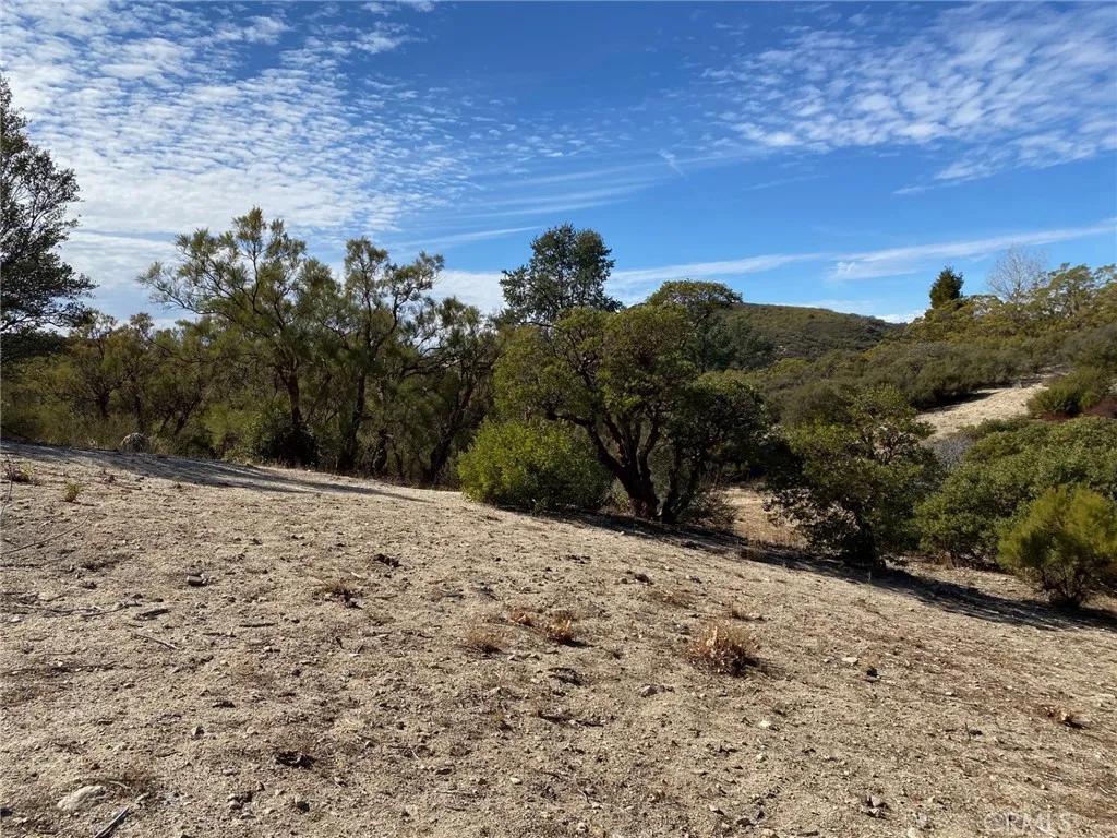 62000 Indian Hill Road, Mountain Center, California 92561 home-pic-46