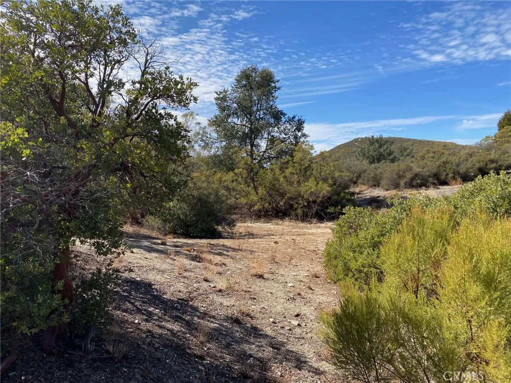 62000 Indian Hill Road, Mountain Center, California 92561 home-pic-7