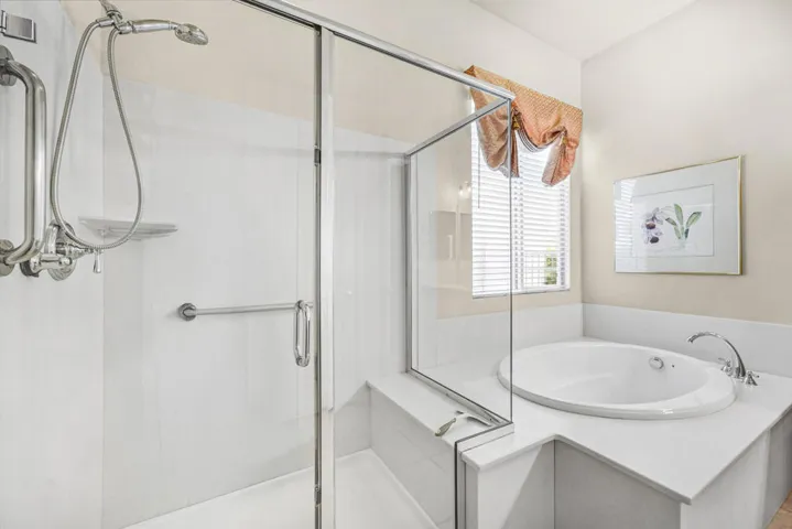 81566-avenida-sombra-026