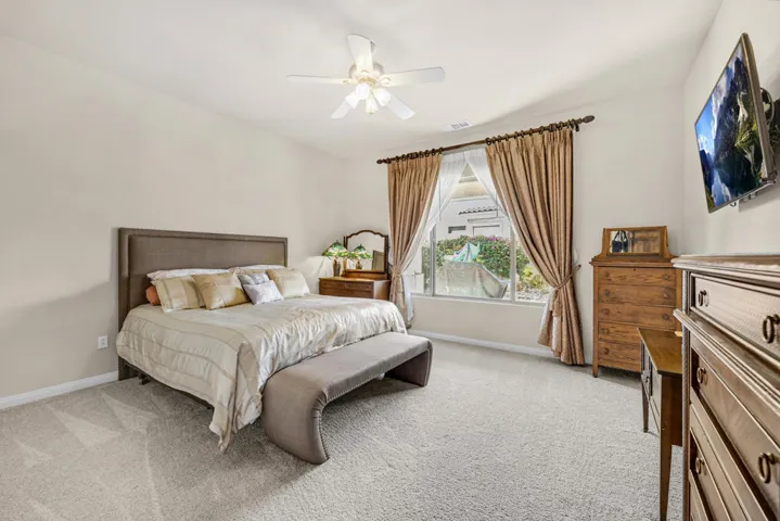 81566-avenida-sombra-023