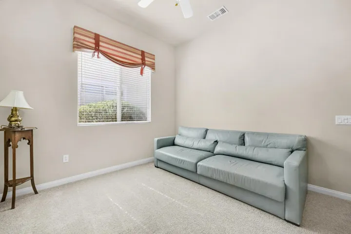 81566-avenida-sombra-020