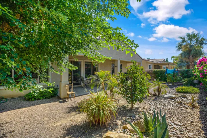 81566-avenida-sombra-031