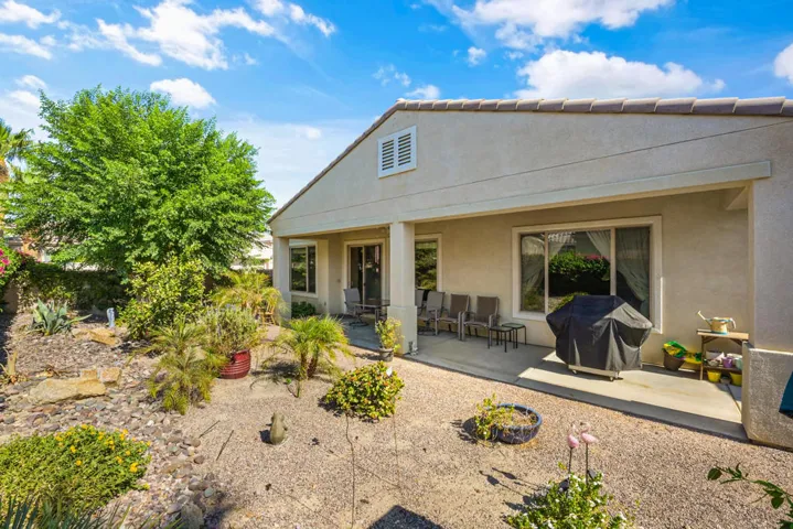 81566-avenida-sombra-035