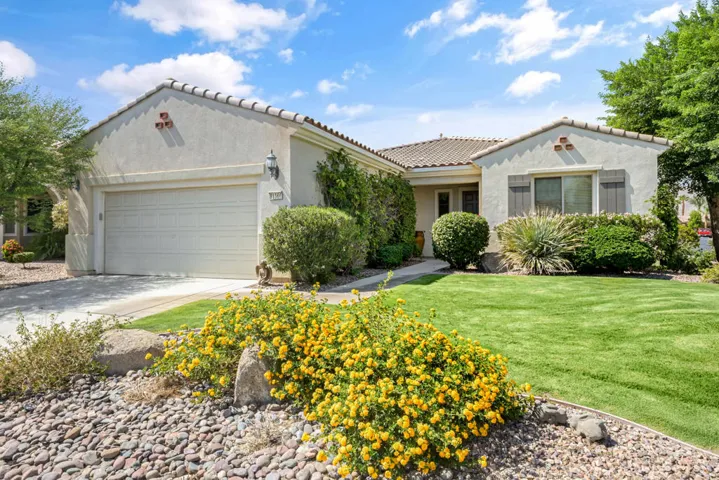 81566-avenida-sombra-005