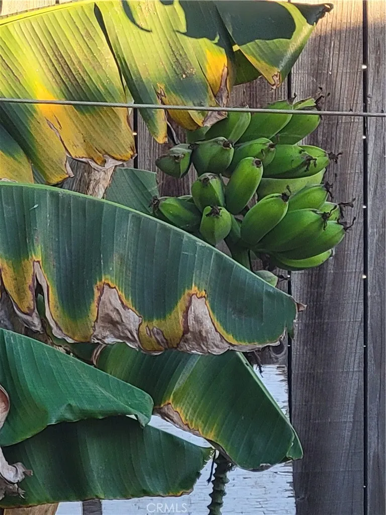 1934 Vineyard, Los Angeles, California 90016 home-pic-32