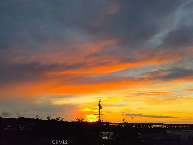      taken from the deck