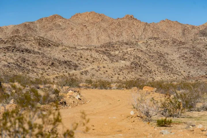 20251204-DSC04190