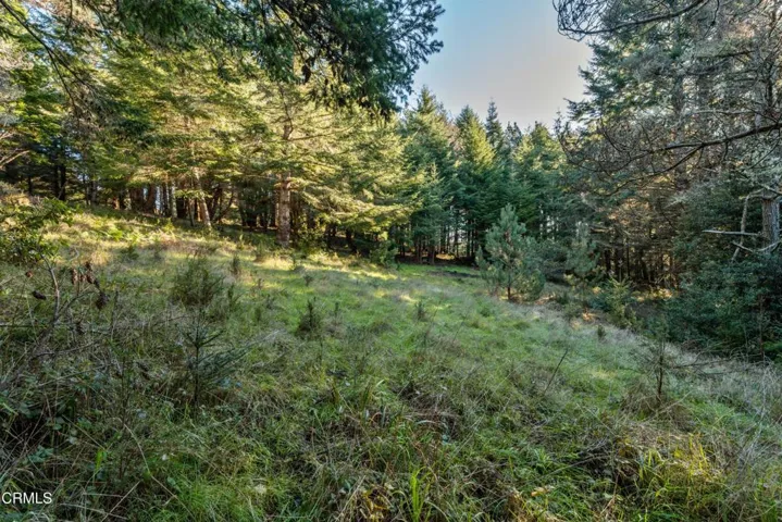 Potential Home site