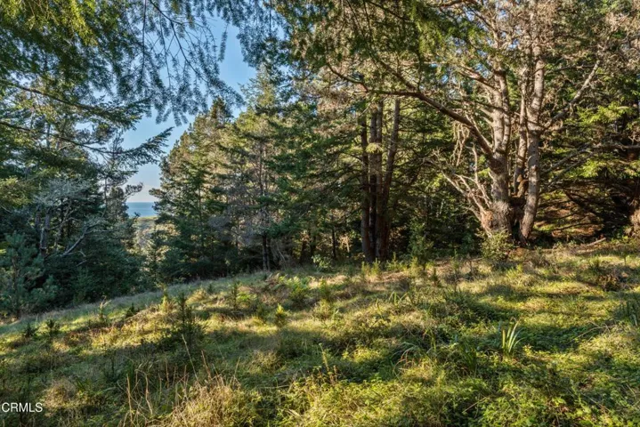 Potential Homesitew ith view