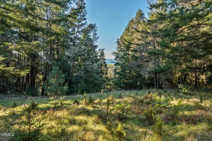 Potenial Homesite with view