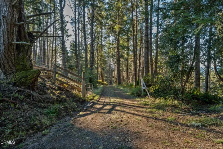 Road