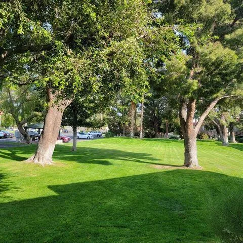 20220603222838420631000000-o