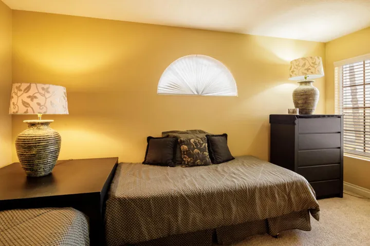 Evergreen Ash Palm Desert-30