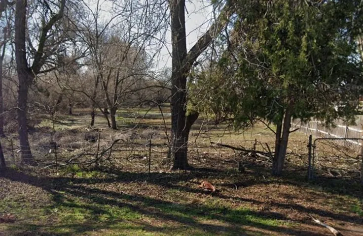 View of local wilderness