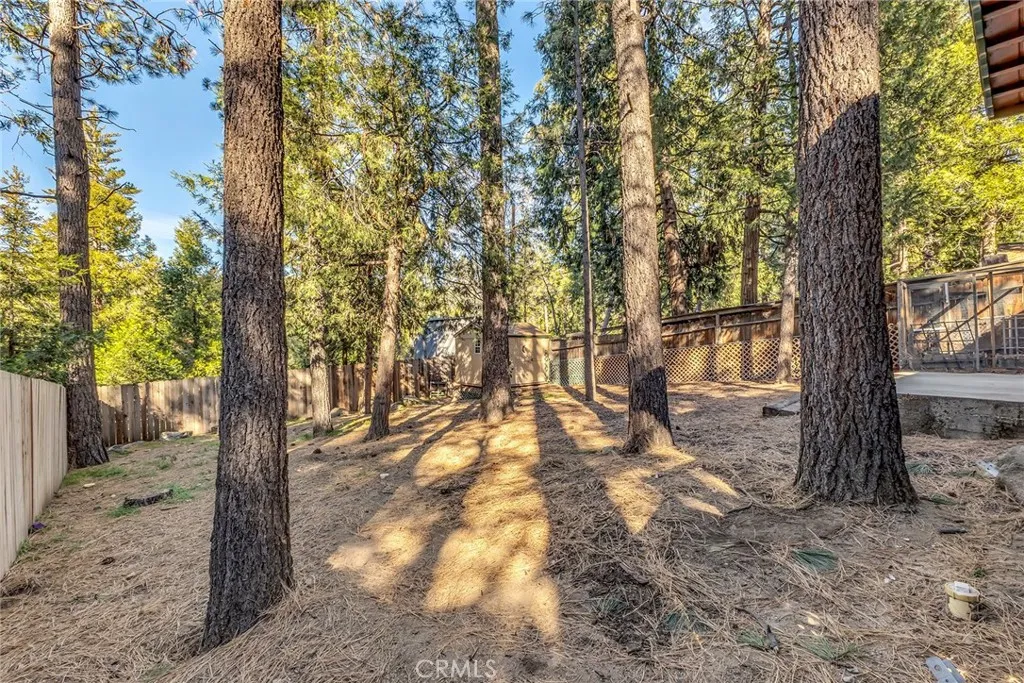 Backyard with many mature trees for shade