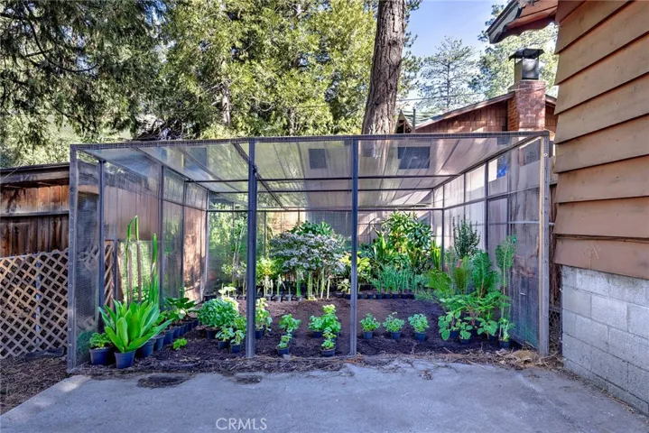 Back patio with virtually staged plantings