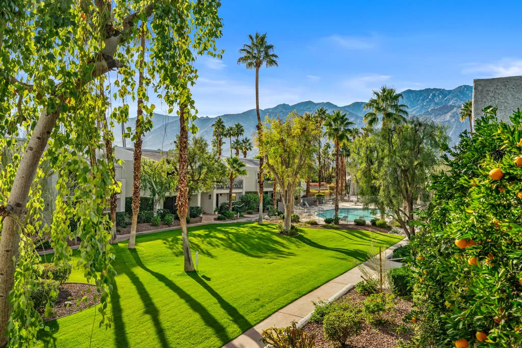 3155 E Ramon Road 904, Palm Springs, California 92264 home-pic-12