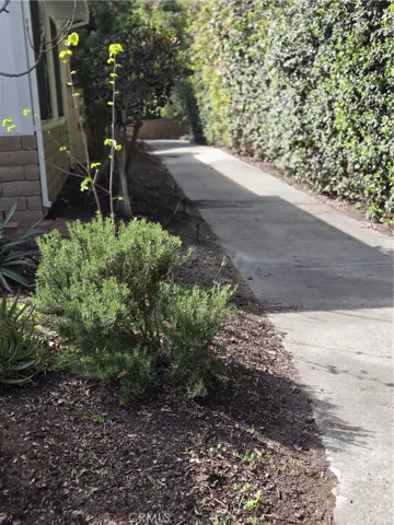 Back sidewalk