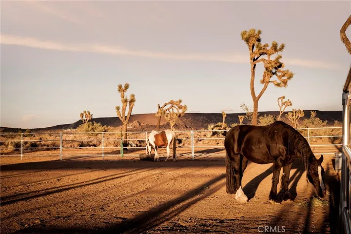2680 Vine, Pioneertown, California 92268