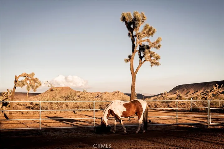 2680 Vine, Pioneertown, California 92268