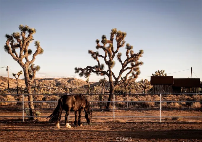 2680 Vine, Pioneertown, California 92268
