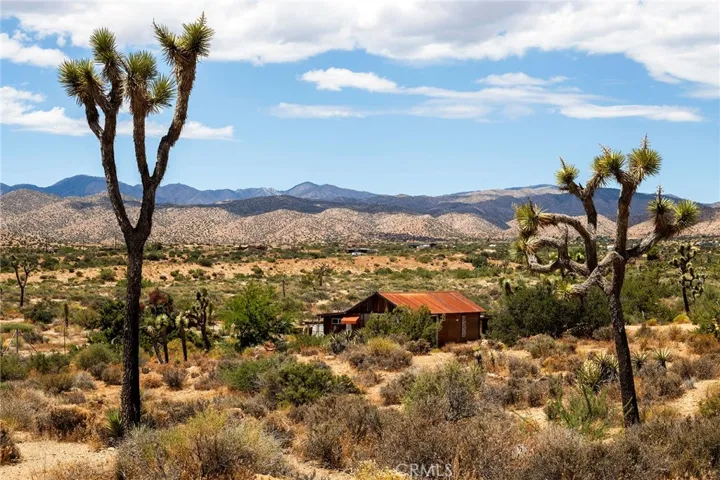 2680 Vine, Pioneertown, California 92268
