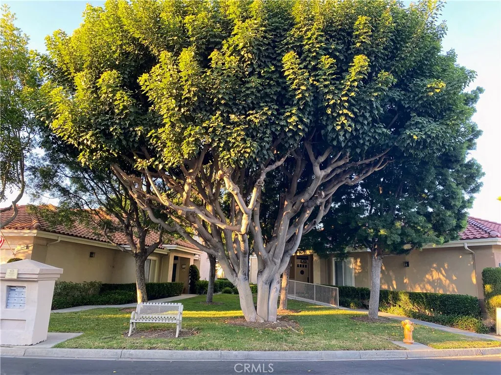 28938 Paseo Caravella, Mission Viejo, California 92692 home-pic-29