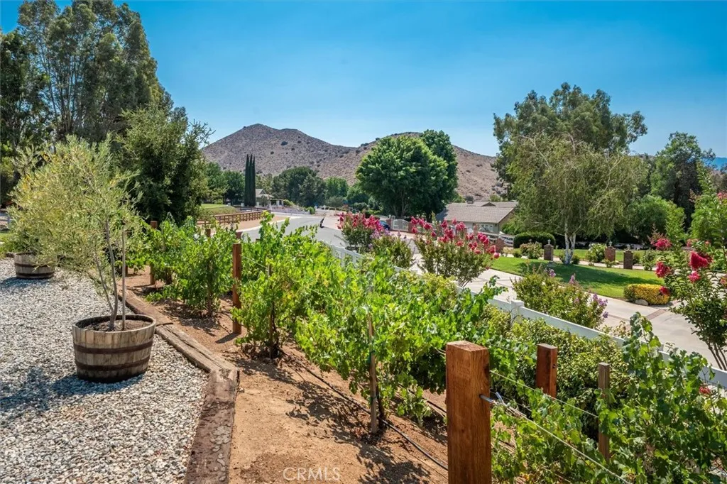 3627 Spanish Bit Drive, Acton, California 93510 home-pic-4