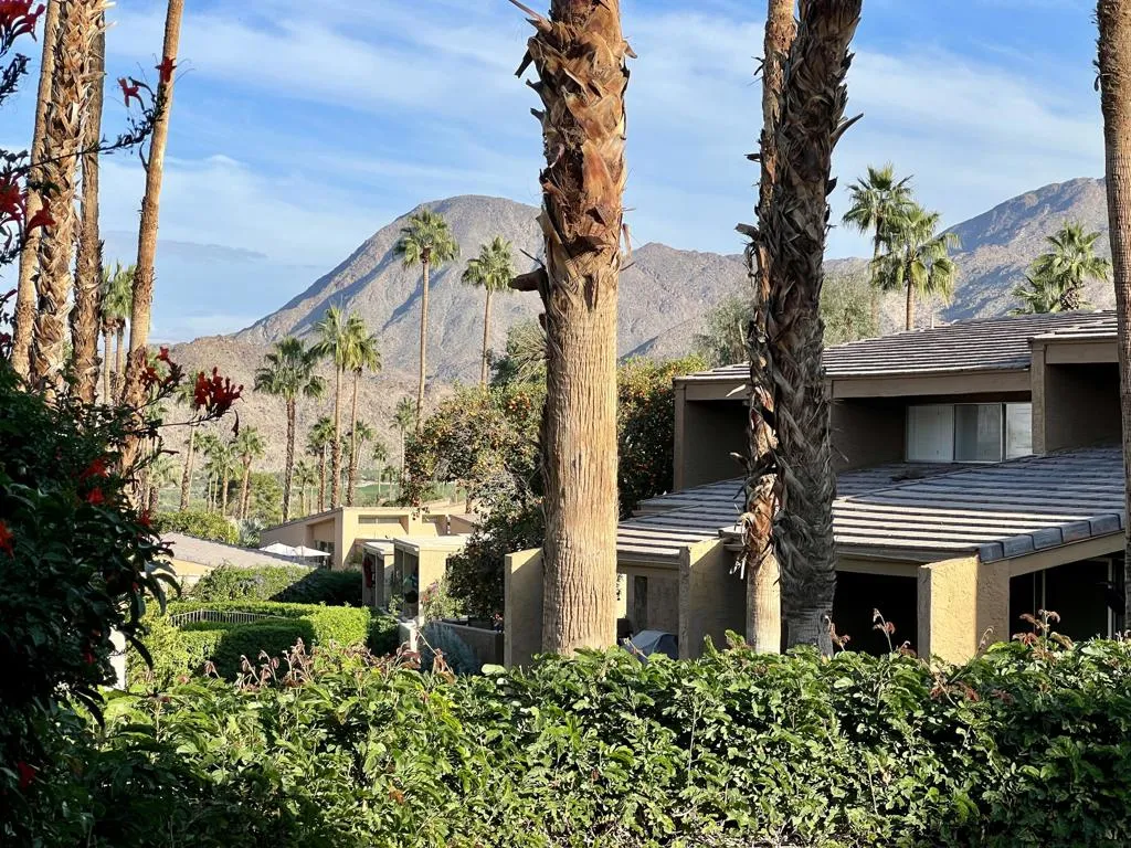 48852 Owl Lane, Palm Desert, California 92260 home-pic-15