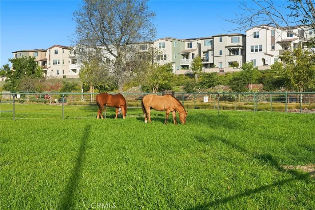 402 Corral Court, Rancho Mission Viejo, California 92694 home-pic-44
