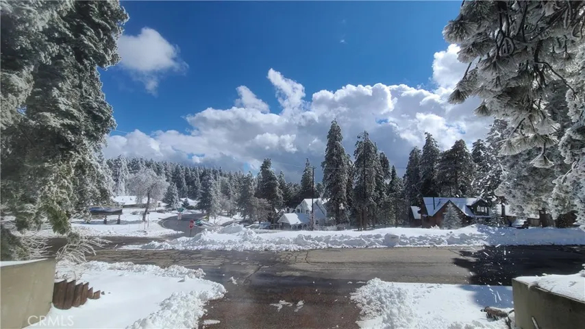 Snowview From the Front