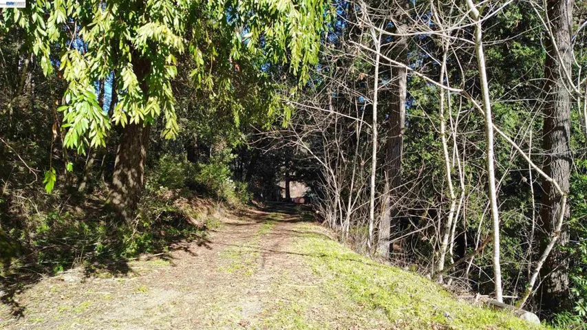 28440 Ryan Creek Road, Willits, California 95490