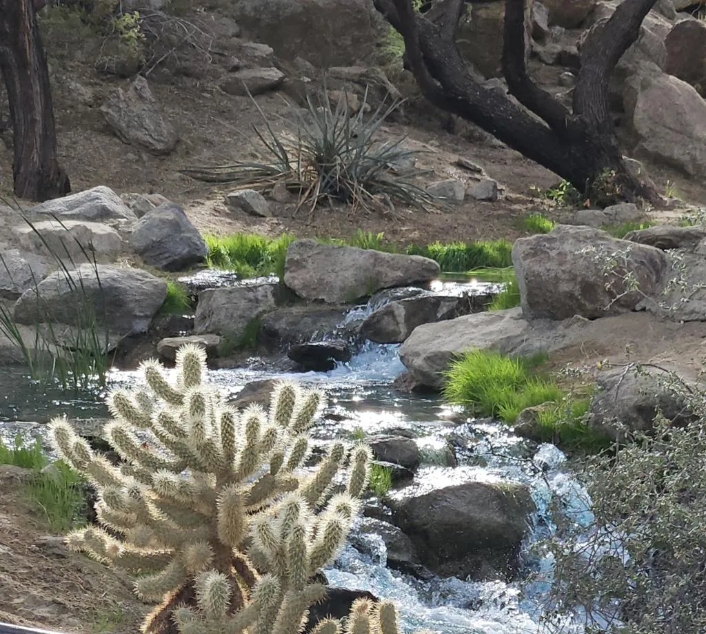 48513 Old Stone Trail, Palm Desert, California 92260 home-pic-14