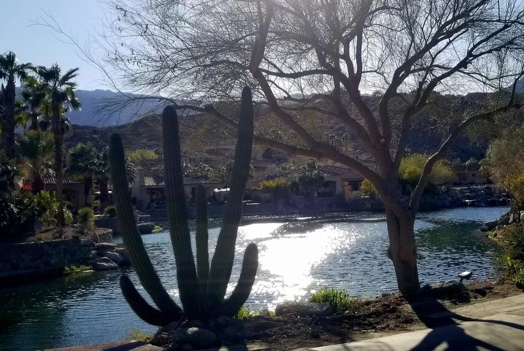 48513 Old Stone Trail, Palm Desert, California 92260 home-pic-16