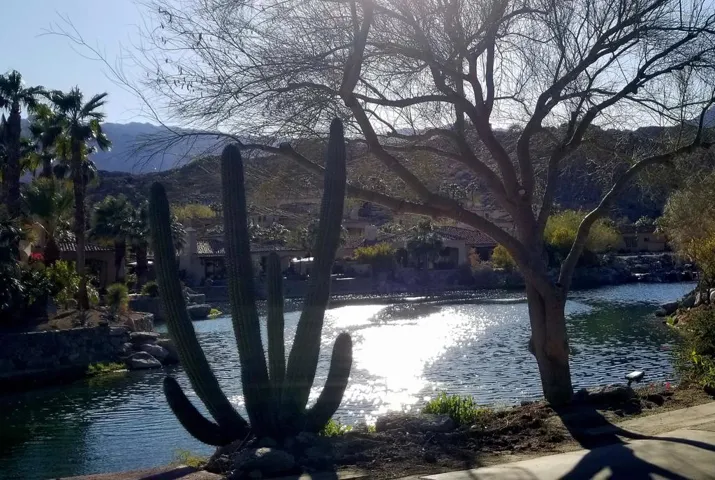 Lake late afternoon