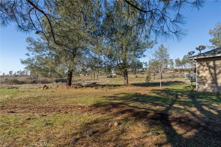 4665 Zinfandel Drive, Chico, California 95928