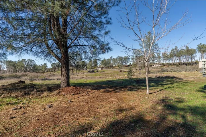 4665 Zinfandel Drive, Chico, California 95928