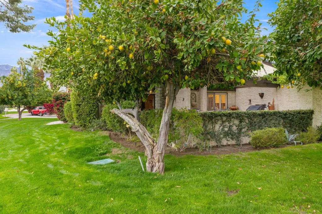 21 Pueblo Vista Drive, Palm Springs, California 92264 home-pic-21