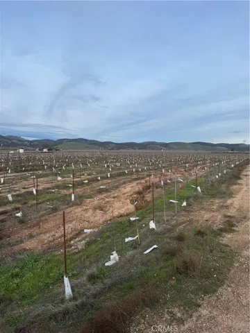 48655 Lockwood Jolon Road, Lockwood, California 93932